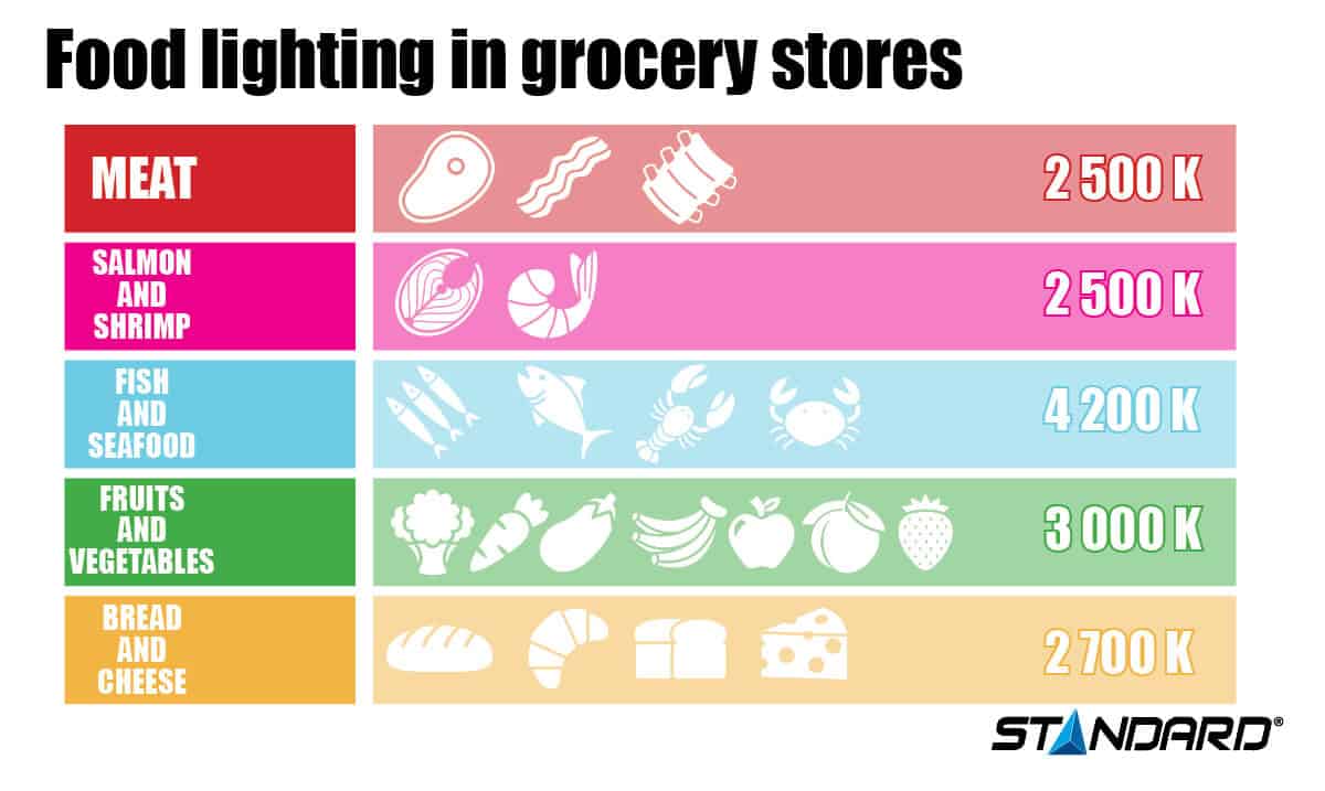 Grocery light infographic